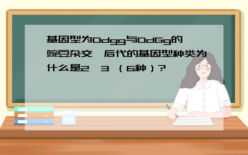 基因型为Ddgg与DdGg的豌豆杂交,后代的基因型种类为什么是2*3 （6种）?