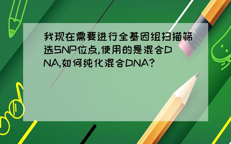 我现在需要进行全基因组扫描筛选SNP位点,使用的是混合DNA,如何纯化混合DNA?