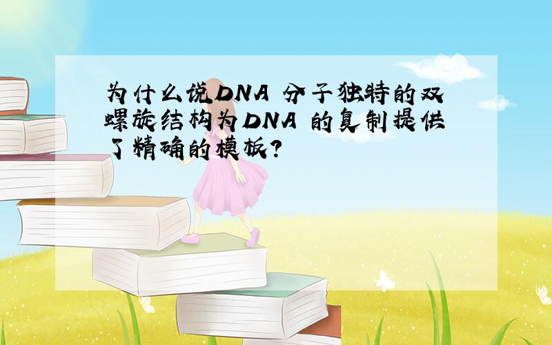 为什么说DNA 分子独特的双螺旋结构为DNA 的复制提供了精确的模板?