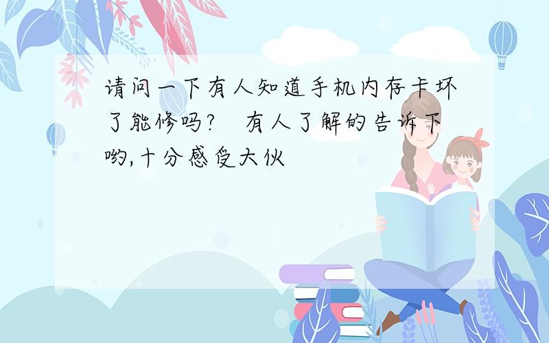 请问一下有人知道手机内存卡坏了能修吗?　有人了解的告诉下哟,十分感受大伙