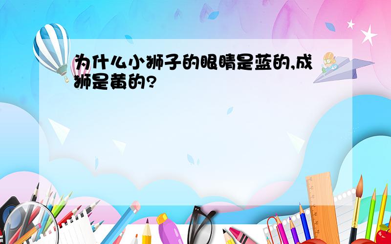 为什么小狮子的眼睛是蓝的,成狮是黄的?