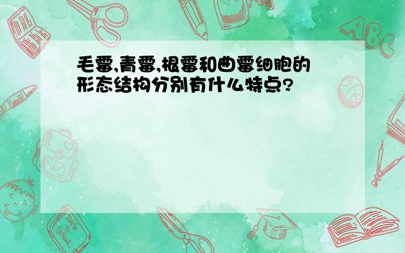 毛霉,青霉,根霉和曲霉细胞的形态结构分别有什么特点?