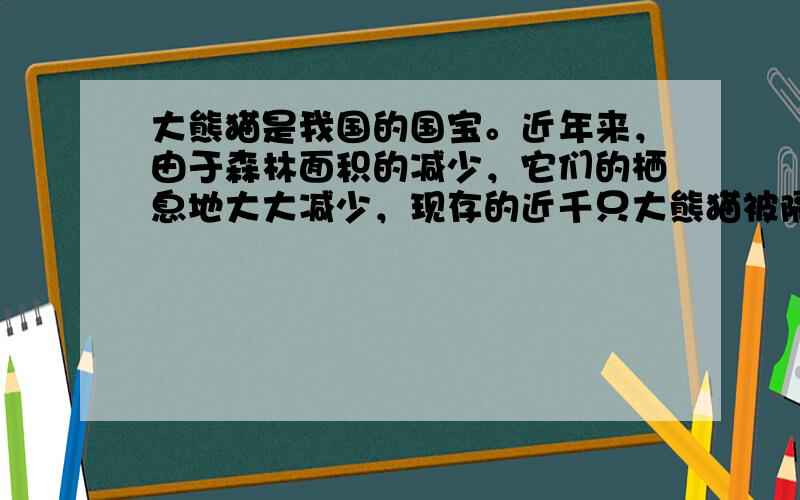 大熊猫是我国的国宝。近年来，由于森林面积的减少，它们的栖息地大大减少，现存的近千只大熊猫被隔离成30多个小群体，这些小群