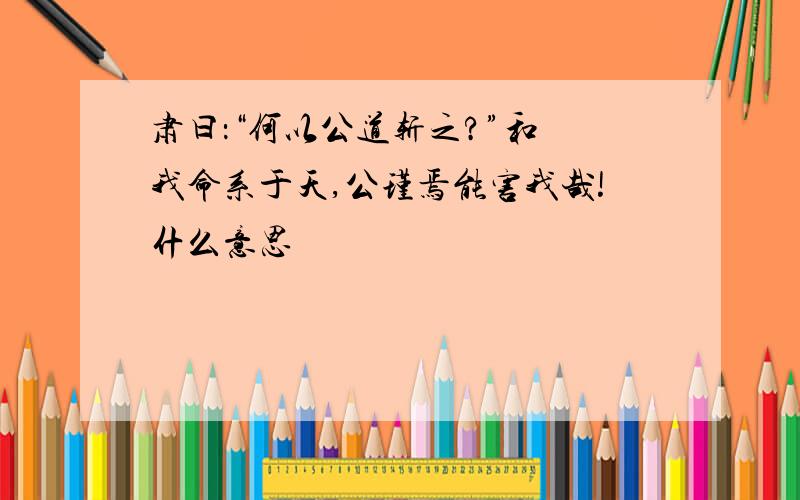 肃曰：“何以公道斩之?”和 我命系于天,公瑾焉能害我哉!什么意思