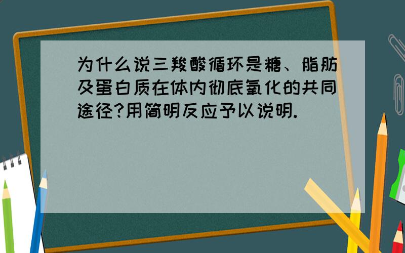 为什么说三羧酸循环是糖、脂肪及蛋白质在体内彻底氧化的共同途径?用简明反应予以说明.