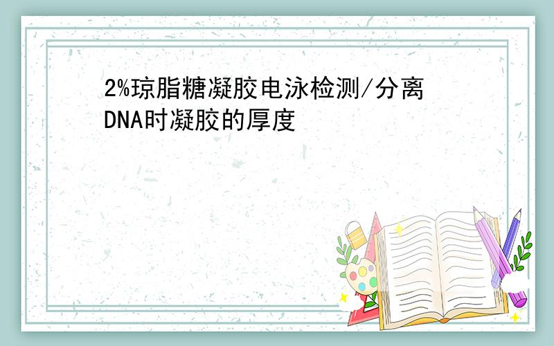 2%琼脂糖凝胶电泳检测/分离DNA时凝胶的厚度