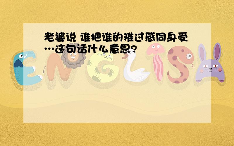 老婆说 谁把谁的难过感同身受…这句话什么意思?