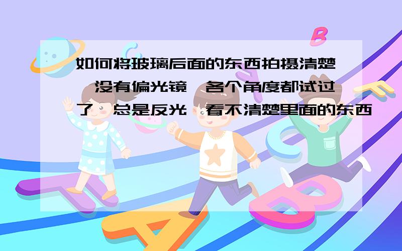 如何将玻璃后面的东西拍摄清楚,没有偏光镜,各个角度都试过了,总是反光,看不清楚里面的东西