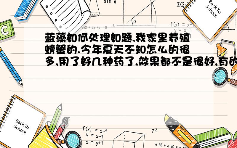 蓝藻如何处理如题,我家里养殖螃蟹的.今年夏天不知怎么的很多,用了好几种药了,效果都不是很好,有的一开始有效果,但是十几天