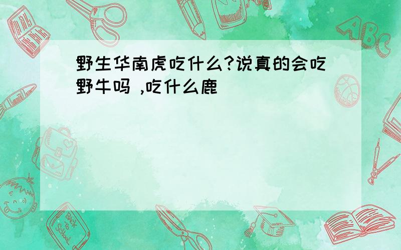 野生华南虎吃什么?说真的会吃野牛吗 ,吃什么鹿