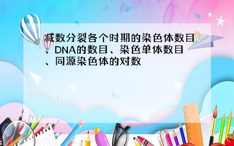 减数分裂各个时期的染色体数目、DNA的数目、染色单体数目、同源染色体的对数