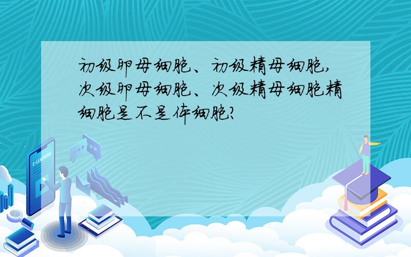 初级卵母细胞、初级精母细胞,次级卵母细胞、次级精母细胞精细胞是不是体细胞?