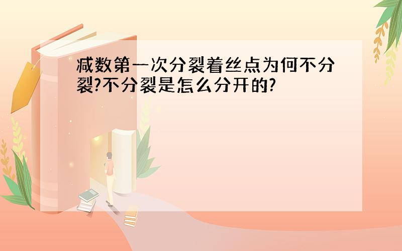 减数第一次分裂着丝点为何不分裂?不分裂是怎么分开的?