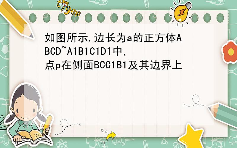 如图所示,边长为a的正方体ABCD~A1B1C1D1中,点p在侧面BCC1B1及其边界上