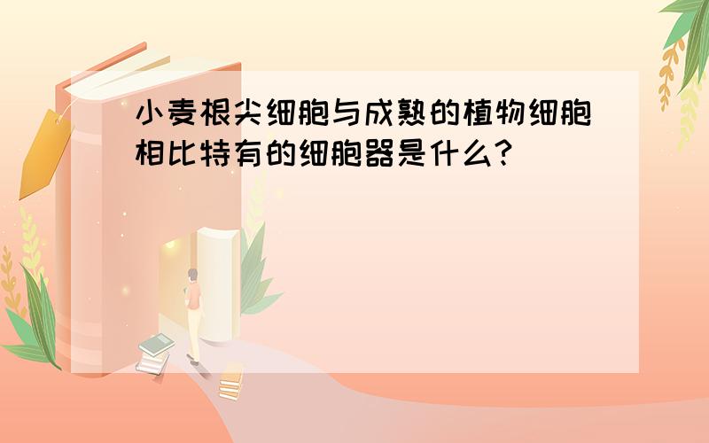 小麦根尖细胞与成熟的植物细胞相比特有的细胞器是什么?