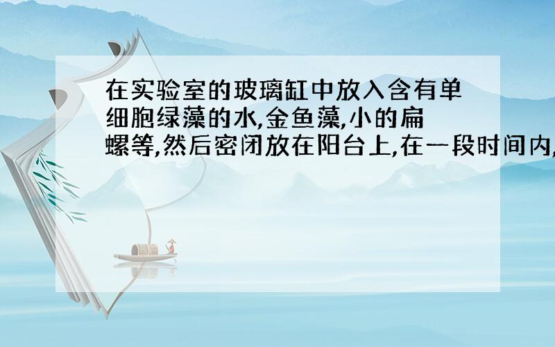 在实验室的玻璃缸中放入含有单细胞绿藻的水,金鱼藻,小的扁螺等,然后密闭放在阳台上,在一段时间内,会怎样