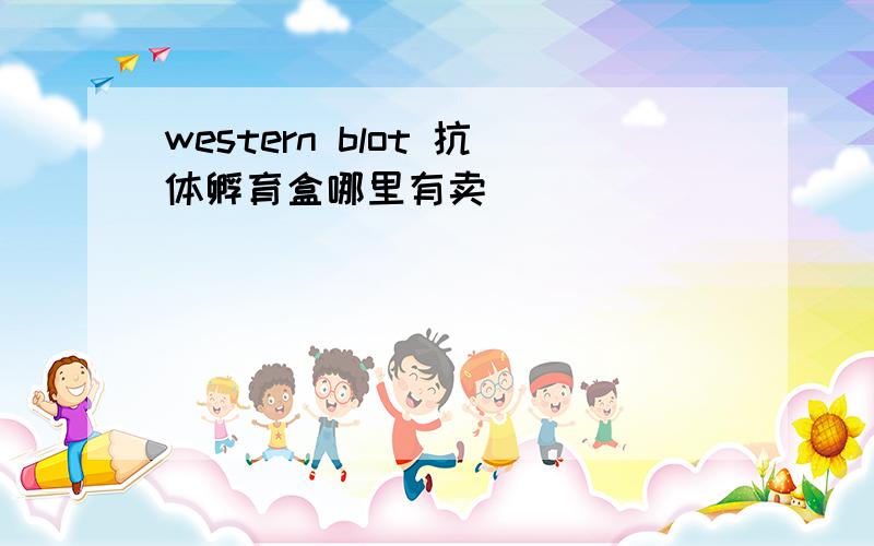 western blot 抗体孵育盒哪里有卖