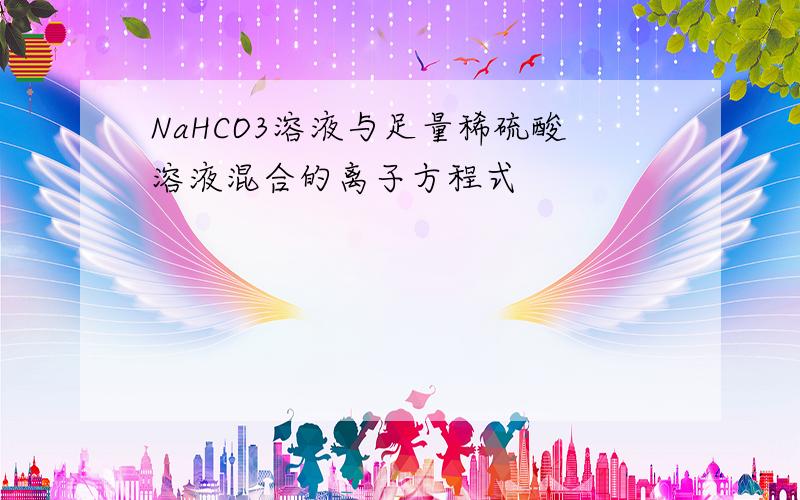 NaHCO3溶液与足量稀硫酸溶液混合的离子方程式