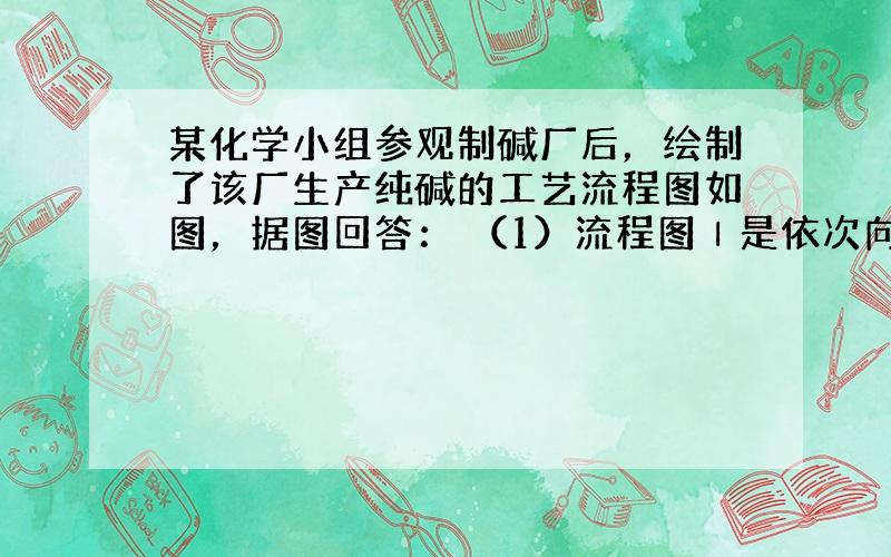 某化学小组参观制碱厂后，绘制了该厂生产纯碱的工艺流程图如图，据图回答： （1）流程图Ⅰ是依次向粗盐水中加入Ca(OH)