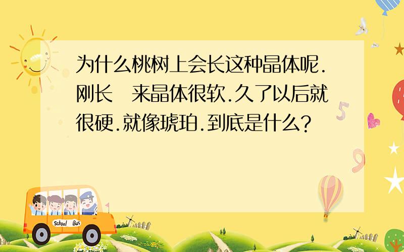 为什么桃树上会长这种晶体呢.刚长岀来晶体很软.久了以后就很硬.就像琥珀.到底是什么?