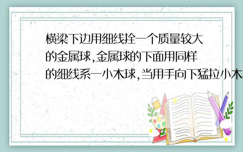 横梁下边用细线拴一个质量较大的金属球,金属球的下面用同样的细线系一小木球,当用手向下猛拉小木棒时,会被拉断的细线是---