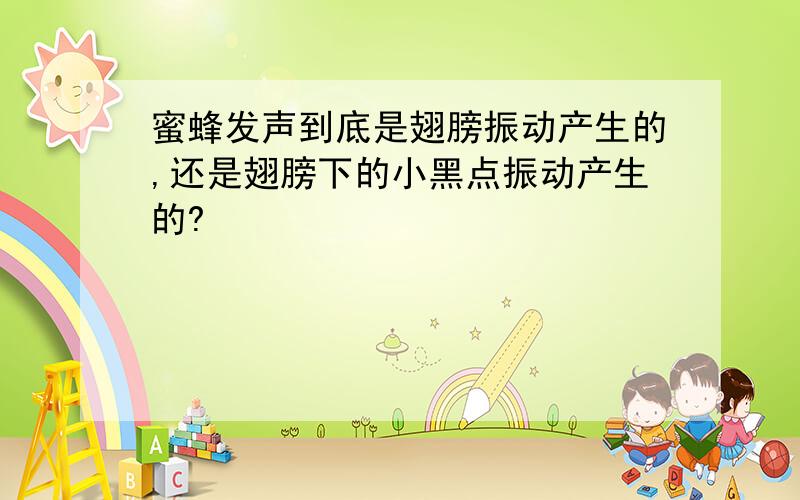 蜜蜂发声到底是翅膀振动产生的,还是翅膀下的小黑点振动产生的?