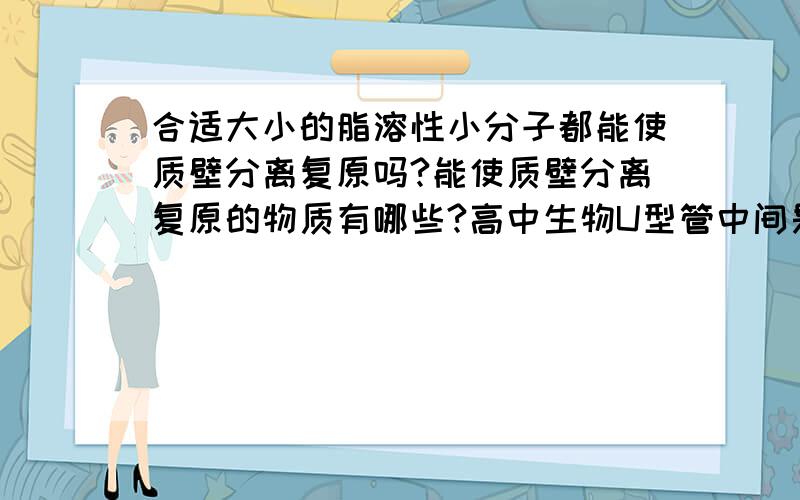 合适大小的脂溶性小分子都能使质壁分离复原吗?能使质壁分离复原的物质有哪些?高中生物U型管中间是半透膜左边是蔗糖溶液右边是