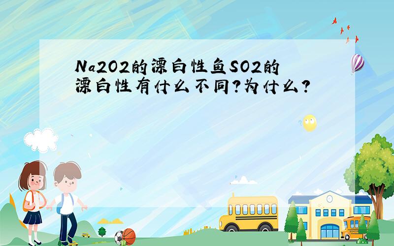 Na2O2的漂白性鱼SO2的漂白性有什么不同?为什么?