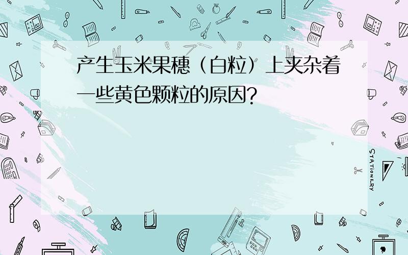 产生玉米果穗（白粒）上夹杂着一些黄色颗粒的原因?