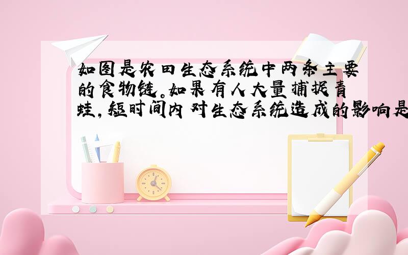 如图是农田生态系统中两条主要的食物链。如果有人大量捕捉青蛙，短时间内对生态系统造成的影响是