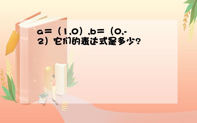 a＝（1,0）,b＝（0,-2）它们的表达式是多少?