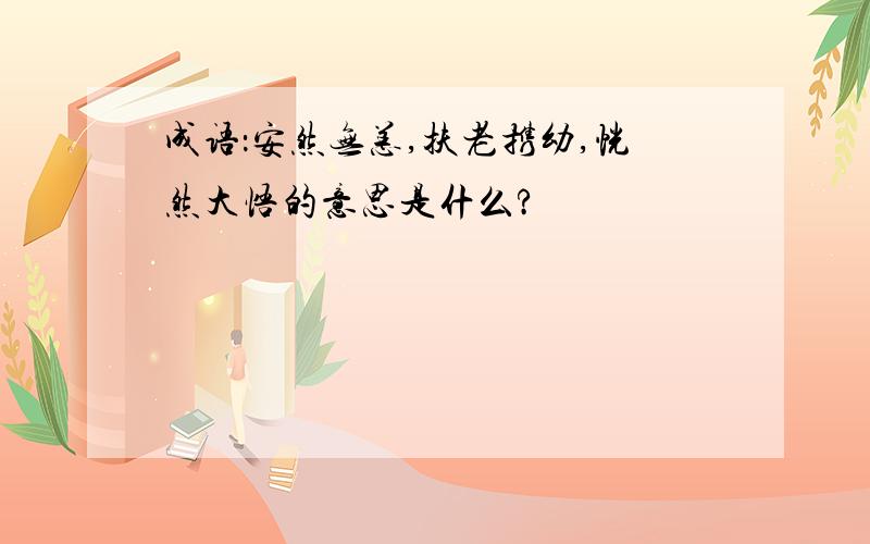 成语：安然无恙,扶老携幼,恍然大悟的意思是什么?