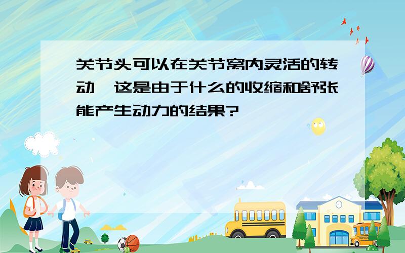 关节头可以在关节窝内灵活的转动,这是由于什么的收缩和舒张能产生动力的结果?