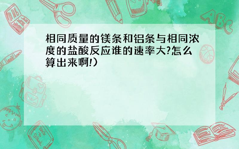 相同质量的镁条和铝条与相同浓度的盐酸反应谁的速率大?怎么算出来啊!)