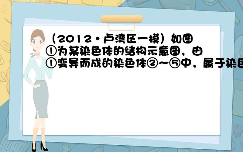 （2012•卢湾区一模）如图①为某染色体的结构示意图，由①变异而成的染色体②～⑤中，属于染色体重复而引起变异的是（　　）