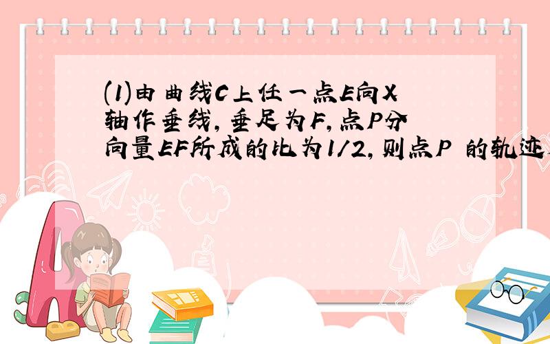 (1)由曲线C上任一点E向X轴作垂线,垂足为F,点P分 向量EF所成的比为1/2,则点P 的轨迹是圆吗?