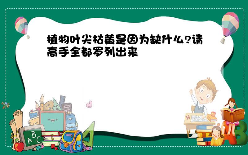 植物叶尖枯黄是因为缺什么?请高手全都罗列出来