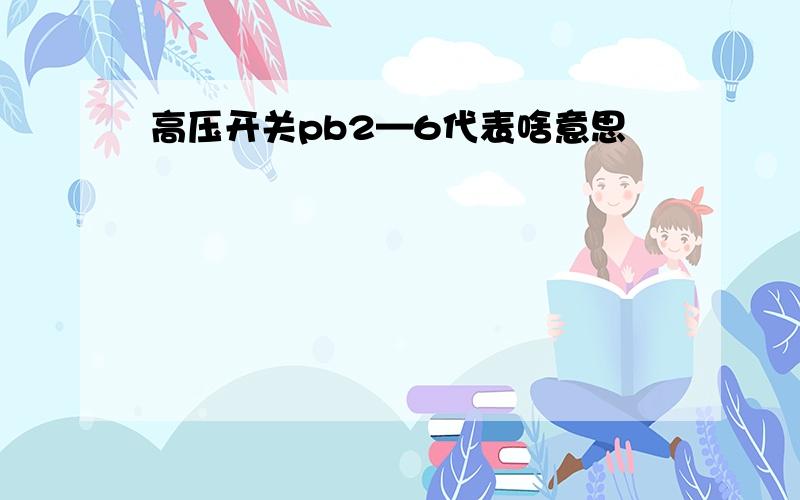 高压开关pb2—6代表啥意思