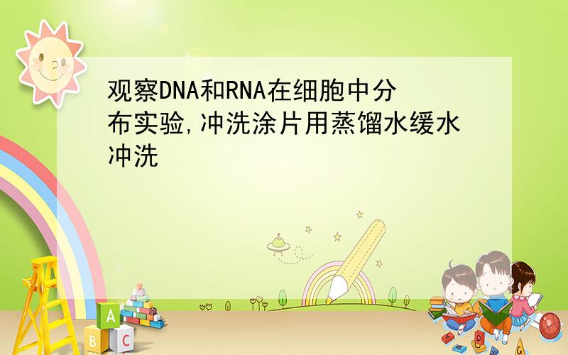 观察DNA和RNA在细胞中分布实验,冲洗涂片用蒸馏水缓水冲洗