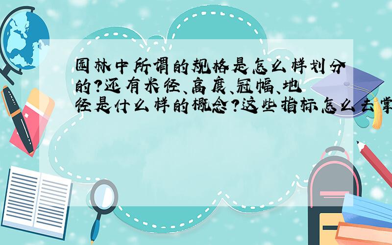 园林中所谓的规格是怎么样划分的?还有米径、高度、冠幅、地径是什么样的概念?这些指标怎么去掌握?