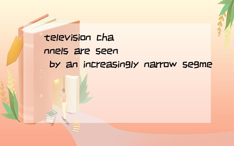 television channels are seen by an increasingly narrow segme