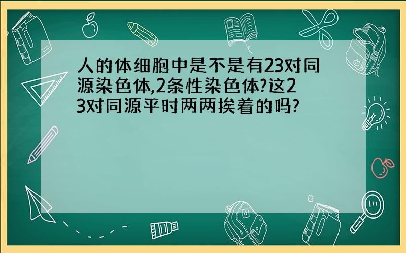 人的体细胞中是不是有23对同源染色体,2条性染色体?这23对同源平时两两挨着的吗?