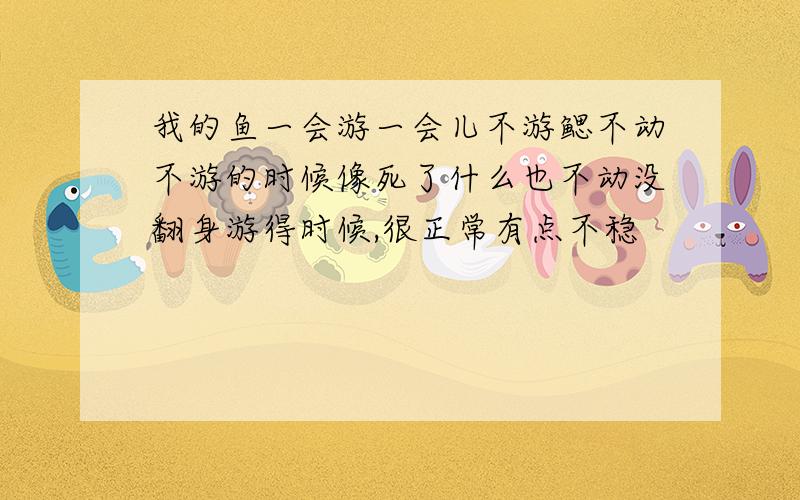 我的鱼一会游一会儿不游鳃不动不游的时候像死了什么也不动没翻身游得时候,很正常有点不稳