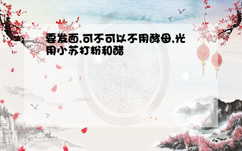 要发面,可不可以不用酵母,光用小苏打粉和醋