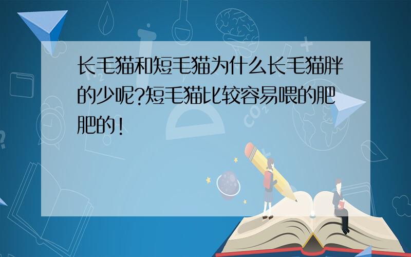 长毛猫和短毛猫为什么长毛猫胖的少呢?短毛猫比较容易喂的肥肥的!