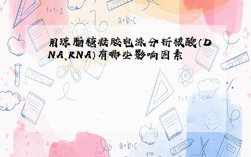 用琼脂糖凝胶电泳分析核酸（DNA、RNA）有哪些影响因素