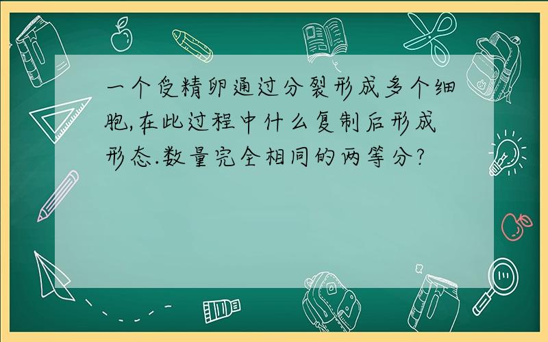 一个受精卵通过分裂形成多个细胞,在此过程中什么复制后形成形态.数量完全相同的两等分?