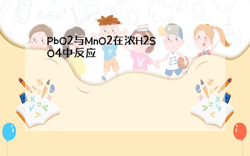 PbO2与MnO2在浓H2SO4中反应