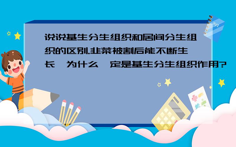 说说基生分生组织和居间分生组织的区别.韭菜被割后能不断生长,为什么一定是基生分生组织作用?