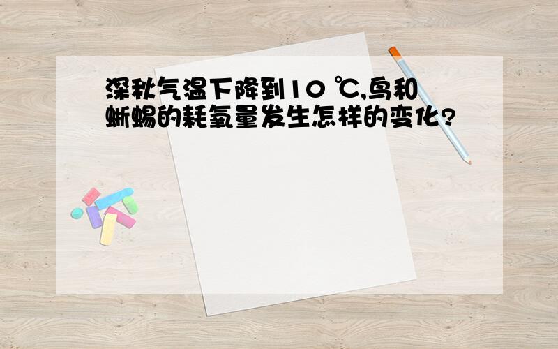 深秋气温下降到10 ℃,鸟和蜥蜴的耗氧量发生怎样的变化?